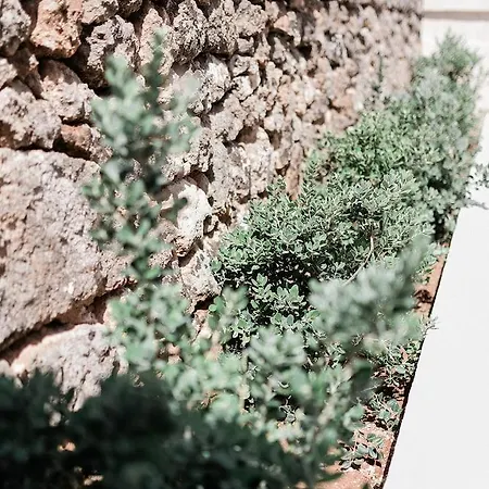Masseria San Martino Pezze Di Greco